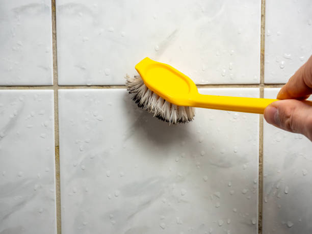 Best Water Damage Restoration  in Meadville, PA