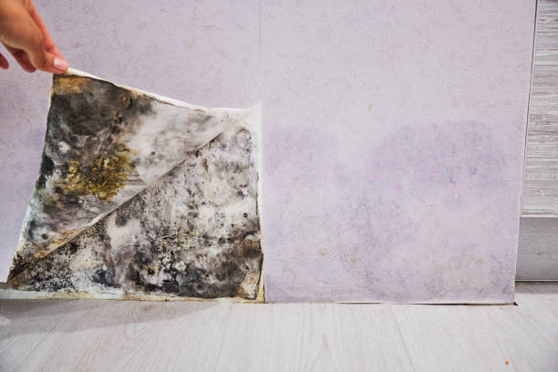 Water Damage Restoration in Meadville, PA